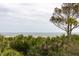 A beautiful ocean view from a property surrounded by trees at 263 Pelican Flight Dr, 15.4% Share, Dewees Island, SC 29451