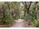 Scenic dirt path through lush greenery, offering a serene and secluded atmosphere at 263 Pelican Flight Dr, 15.4% Share, Dewees Island, SC 29451