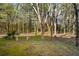 View of backyard showing a wooded property line with a mix of trees and mossy ground at 265 Grand Oaks Drive Dr, Ladson, SC 29456