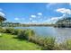 Beautiful lake view with lush greenery, vibrant blue skies, and inviting waterfront homes at 2739 Calico Bass Ln, Johns Island, SC 29455