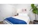 Cozy bedroom with white walls, decor, white metal bedframe, and a potted fiddle leaf fig at 275 Kelsey Blvd, Charleston, SC 29492