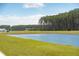 Picturesque pond surrounded by grassy banks and a dense treeline with visible homes at 284 Shadybrook Dr, Summerville, SC 29486