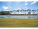 Scenic pond surrounded by lush greenery and a dense treeline providing a tranquil view at 284 Shadybrook Dr, Summerville, SC 29486