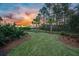 Lush backyard featuring manicured landscaping, palm trees, and a wrought iron fence at 306 Long Pier St, Summerville, SC 29486