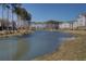 Community pond view with a fountain, tall trees and multiple buildings providing serene scenery at 3522 Habenaria Rd, Mount Pleasant, SC 29466