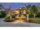 Two-story home enhanced by landscape lighting, features a grand entrance framed by palm trees and a winding walkway at 4051 Colonel Vanderhorst Cir, Mount Pleasant, SC 29466
