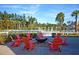 Outdoor fire pit surrounded by red Adirondack chairs and beautiful landscaping for a cozy community gathering space at 565 Blueway Ave, Summerville, SC 29486