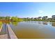 A serene community lake view framed by manicured lawns, palm trees and well-maintained homes in the background at 565 Blueway Ave, Summerville, SC 29486