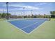 Well-maintained blue tennis court with green trim surrounded by tall trees at 565 Blueway Ave, Summerville, SC 29486