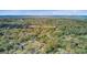 Wide aerial view shows the neighborhood surrounding the property with mature trees at 958 Mikell Dr, Charleston, SC 29412