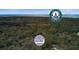 Branded aerial view shows neighborhood surrounding property near Charleston at 958 Mikell Dr, Charleston, SC 29412