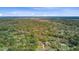 Aerial view of a neighborhood surrounded by lush green trees and a body of water in the background at 958 Mikell Dr, Charleston, SC 29412