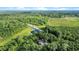 Scenic view of a private lake, surrounding forest, and the residence nestled within lush greenery at 13959 Cottageville Hwy, Cottageville, SC 29435