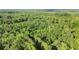 Panoramic landscape showing dense forest, with the trees creating an intriguing green canopy at 13959 Cottageville Hwy, Cottageville, SC 29435