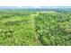 Scenic aerial view of the property featuring a creek, wooded areas, and open fields at 13959 Cottageville Hwy, Cottageville, SC 29435