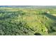 Aerial view of heavily wooded property at 13959 Cottageville Hwy, Cottageville, SC 29435