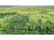 Lush wooded acreage, perfect for outdoor enthusiasts and nature lovers at 13959 Cottageville Hwy, Cottageville, SC 29435