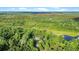 This aerial shows a private estate with houses and a pond surrounded by dense woods, offering a secluded retreat at 13959 Cottageville Hwy, Cottageville, SC 29435