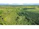 Beautiful overhead view showcasing a vast forest, distant fields, and a serene rural landscape at 13959 Cottageville Hwy, Cottageville, SC 29435