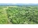 Expansive wooded property offering privacy and recreational opportunities at 13959 Cottageville Hwy, Cottageville, SC 29435