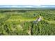 Expansive aerial view featuring a picturesque pond nestled among lush green trees surrounding the house on a large lot at 13959 Cottageville Hwy, Cottageville, SC 29435