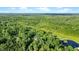 Lush greenery with the house surrounded by trees and a tranquil pond nearby at 13959 Cottageville Hwy, Cottageville, SC 29435