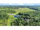 Picturesque overhead view showcasing a pond, meadows, and a house surrounded by lush trees at 13959 Cottageville Hwy, Cottageville, SC 29435
