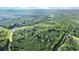 Aerial view of a wooded area surrounding the property with a pond nearby at 13959 Cottageville Hwy, Cottageville, SC 29435