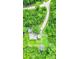 Expansive property featuring mature trees and a charming home with a spacious yard at 13959 Cottageville Hwy, Cottageville, SC 29435