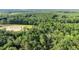Landscape shot of an expansive forest with a natural pond, highlighting the property's tranquil environment at 13959 Cottageville Hwy, Cottageville, SC 29435