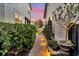 Landscaped side yard with a brick path, elegant shrubbery, and subtle lighting creating a charming walkway between homes at 1525 Harriman St, Mount Pleasant, SC 29466
