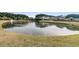 Picturesque pond with a fountain surrounded by lush greenery and neighborhood homes at 219 Daybreak Blvd, Summerville, SC 29486