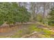 Large backyard with mature trees and mossy ground cover at 2765 Jobee Dr # 1303, Charleston, SC 29414