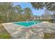 Community pool surrounded by a concrete deck and mature trees at 2765 Jobee Dr # 1303, Charleston, SC 29414