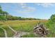 Picturesque marsh view with trees and an old tree trunk, providing a sense of serenity at 4874 Sound View Dr, Mount Pleasant, SC 29466