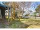Spacious backyard with trees offering ample shade and greenery at 716 E Arctic Ave, Folly Beach, SC 29439
