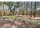Serene backyard with a patio set among mature trees, offering a private and relaxing outdoor space at 1014 Bradbury Ln, Charleston, SC 29492
