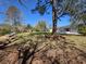 Large backyard with lush lawn, perfect for outdoor activities and entertaining at 1077 Harbor View Rd, Charleston, SC 29412