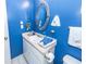 Classic bathroom featuring a well-lit vanity with blue walls and coordinated decor at 1158 Village Creek Ln # 3, Mount Pleasant, SC 29464