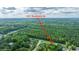 Aerial view of a home surrounded by lush green trees and foliage, identified as 1617 Southwick Dr at 1617 Southwick Dr, Johns Island, SC 29455