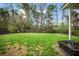 Lush backyard with a wooden fence, young trees, and a fire pit area at 166 Pavilion St, Summerville, SC 29483