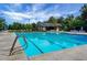 A sparkling blue swimming pool with lane markers for a refreshing community amenity at 166 Pavilion St, Summerville, SC 29483