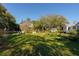 Expansive green lawn in the backyard, perfect for outdoor activities and relaxation in a serene setting at 1808 Ion Ave, Sullivans Island, SC 29482