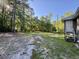 An expansive backyard view, showcasing a mix of lush greenery and tall trees, capturing the essence of a peaceful outdoor setting at 2164 Highway 78, Dorchester, SC 29437