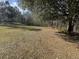 Spacious backyard with mature trees and natural foliage at 2164 Highway 78, Dorchester, SC 29437