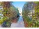 Charming walkway covered by greenery at 2707 Waterpointe Cir, Mount Pleasant, SC 29466