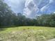 Available vacant lot offers lush greenery and a serene setting surrounded by mature trees, ready for your dream home at 3105 Vanessa Lynne, Johns Island, SC 29455