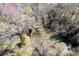 Aerial view of a wooded lot with a body of water covered in lily pads and walking trails nearby at 328 Fox Field Rd, Walterboro, SC 29488