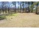 Spacious backyard features lush green grass and mature trees perfect for outdoor enjoyment at 328 Fox Field Rd, Walterboro, SC 29488