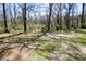 Shady path in backyard with sunlight shining through the trees at 328 Fox Field Rd, Walterboro, SC 29488